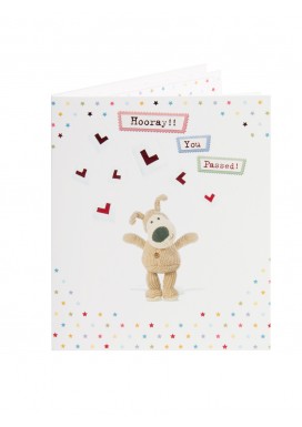 Boofle You've Passed Congratulations Card