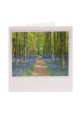 Bluebell Forest With Sympathy Card