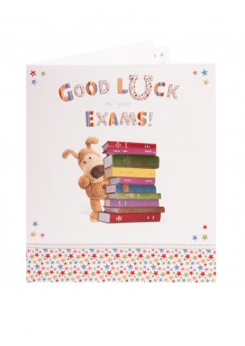 Boofle Good Luck In Your Exams Card