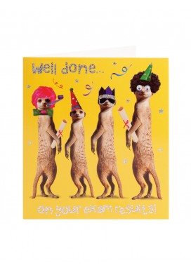 Meerkat Party Congratulations Card