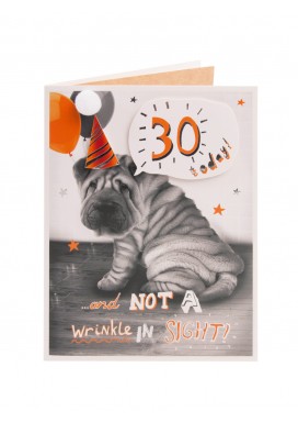Shar Pei Puppy 30th Birthday Card