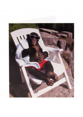 Simply Chimpanzee Photographic Card