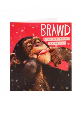 Welsh Little Monkey Birthday Card - For Brother 