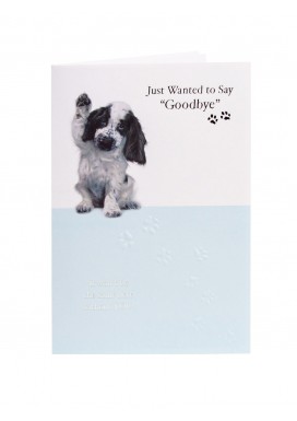 Goodbye