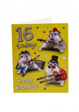 A La Mode Boy 16th Birthday Card