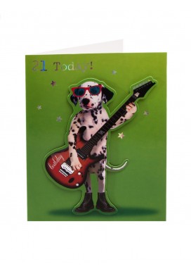 Photographic Fun  21st Birthday Card