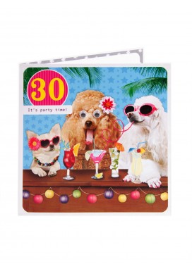 Party Dogs 30th Birthday Card