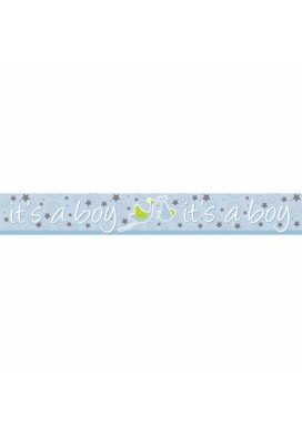 It's A Boy Holographic Banner