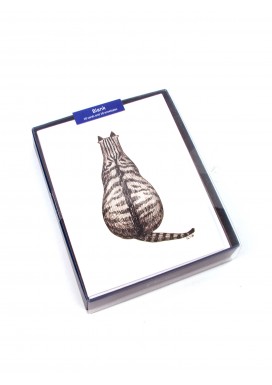 Illustrated Tabby Cat Card Multipack -  Pack of 10